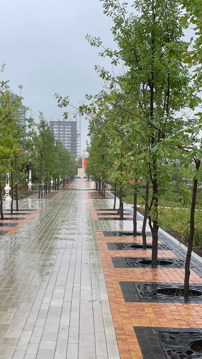 Приствольная решетка для дерева ZKING CRUST 1.2х1.2м Черная в Сургуте фото