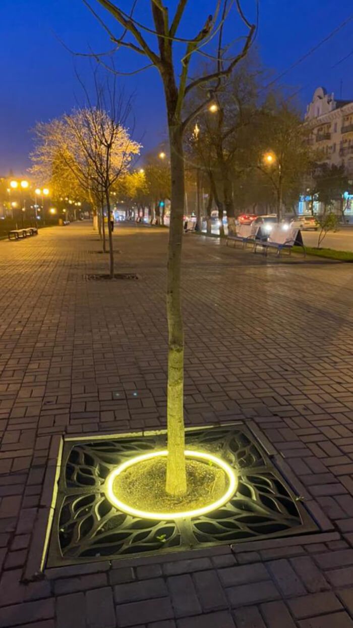 Приствольная решетка для дерева ZKING CRUST 1.2х1.2м Черная в Сургуте фото